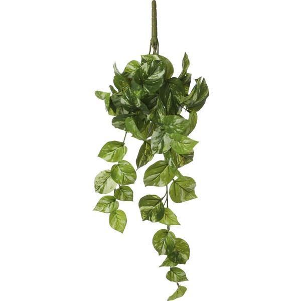 Maceta colgante de poto verde, 14 x 58 x 20 cm